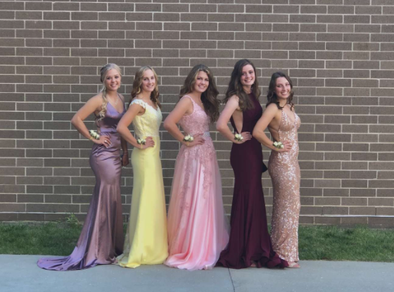 Glammed up and Proud 
Seniors line up together before the coronation in their beautiful dresses. Each senior has been a  life-long Comet. 