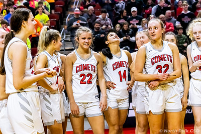 Girls basketball team celebrating their win at the semi-finals. Image from the North Polk Flickr.