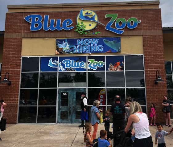 The Blue Zoo: Exploring the Controversial Aquarium – The Orbit