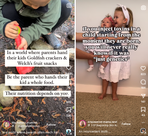 Two Instagram Reels by two different creators (the.holistic.mumma and empowered.mama.nest) demonstrate the two very different sides of what the “crunchy community” is like. One video shares the importance of proper nutrition in children and the other alludes to vaccinations causing autism in children.